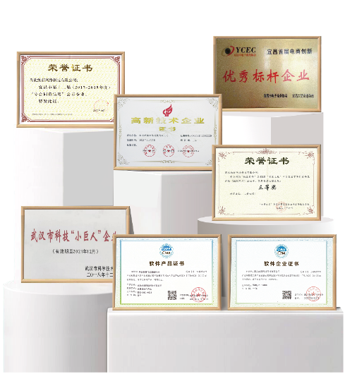 蓝冠注册公司荣誉